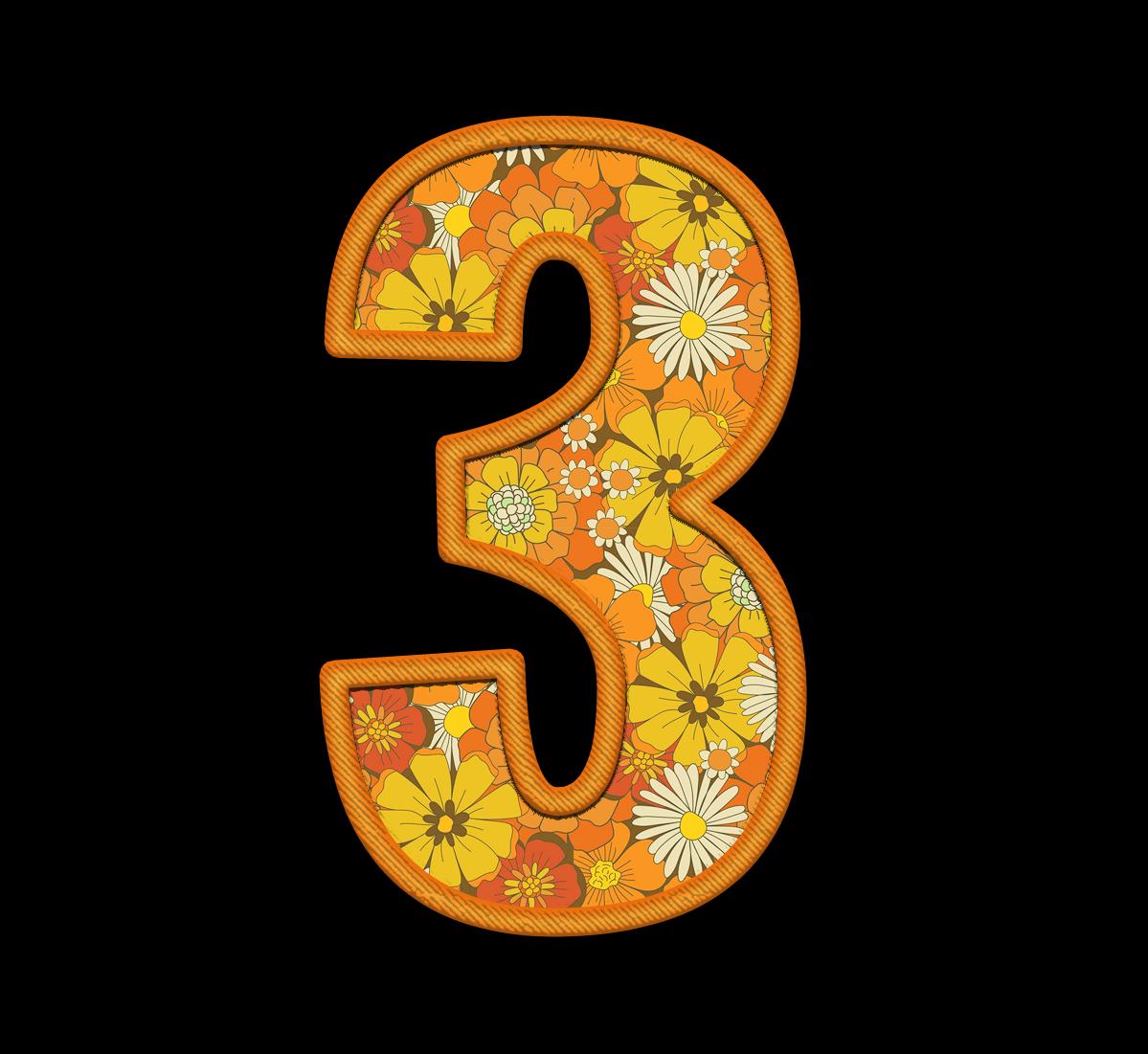 Spring Orange Floral Alphabet PNG Clipart, Retro Embroidery Letters (Digital Download) - Image 3